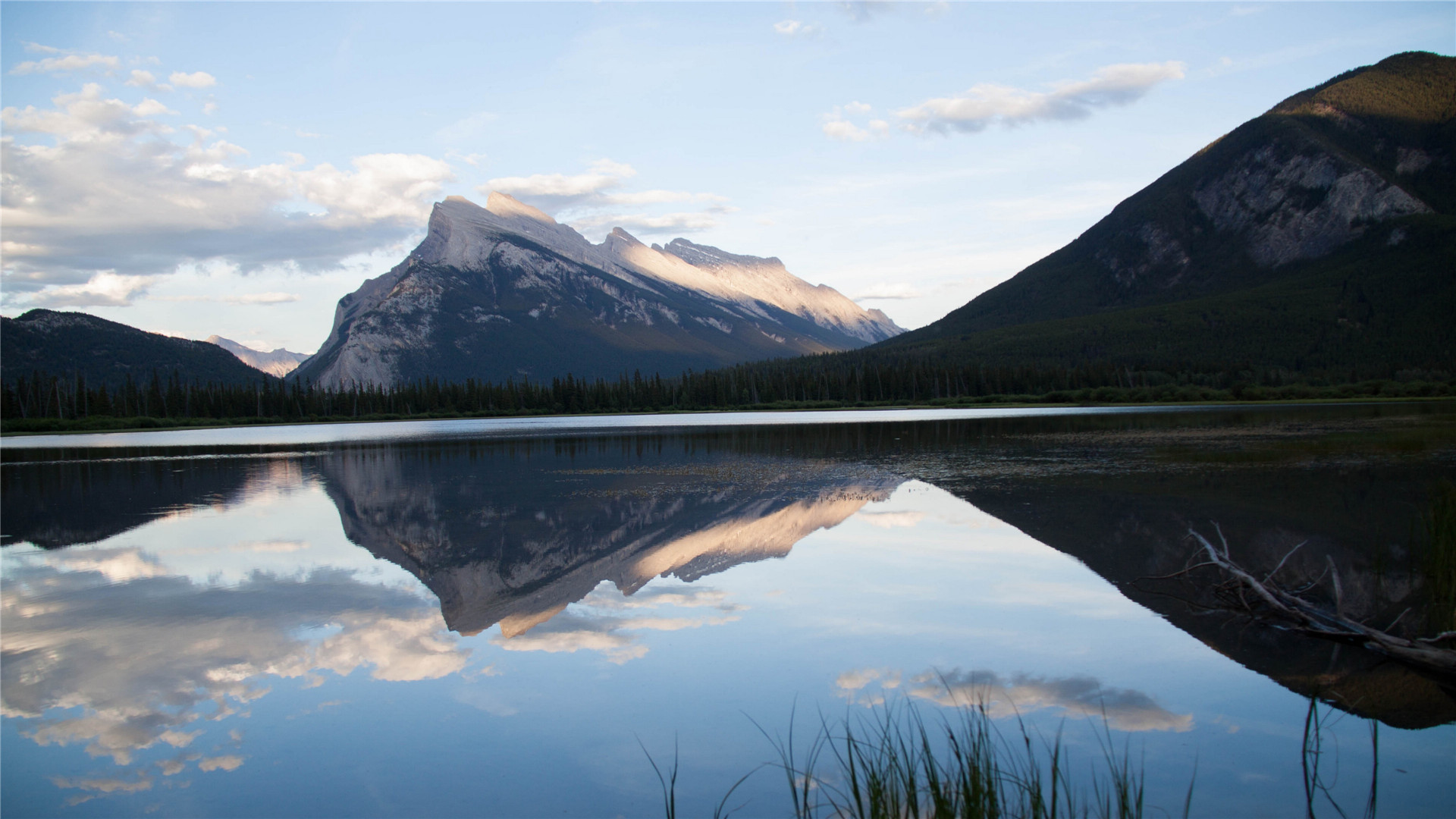 描写懒惰的语句摘抄