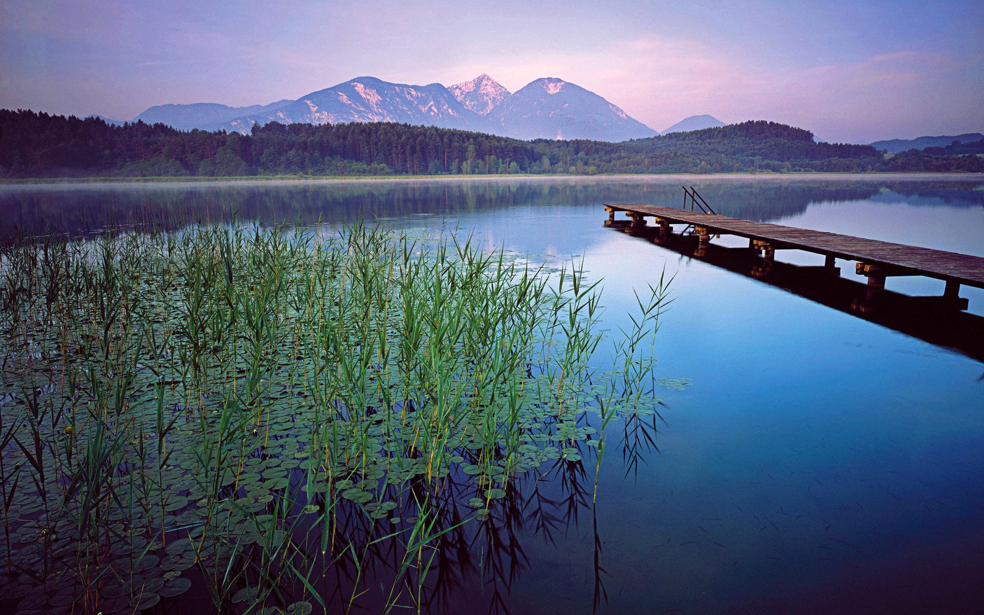 2018最新伤感爱情语句