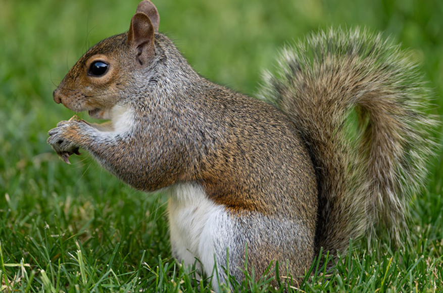 敢问路在何方(原创)