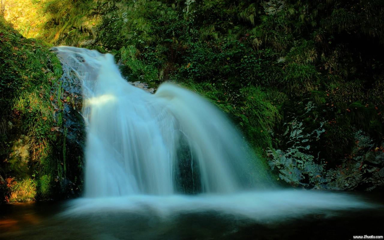 50年，守着最爱，彼此成了对方眼里的星