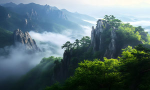 岁月无痕，现实无殇