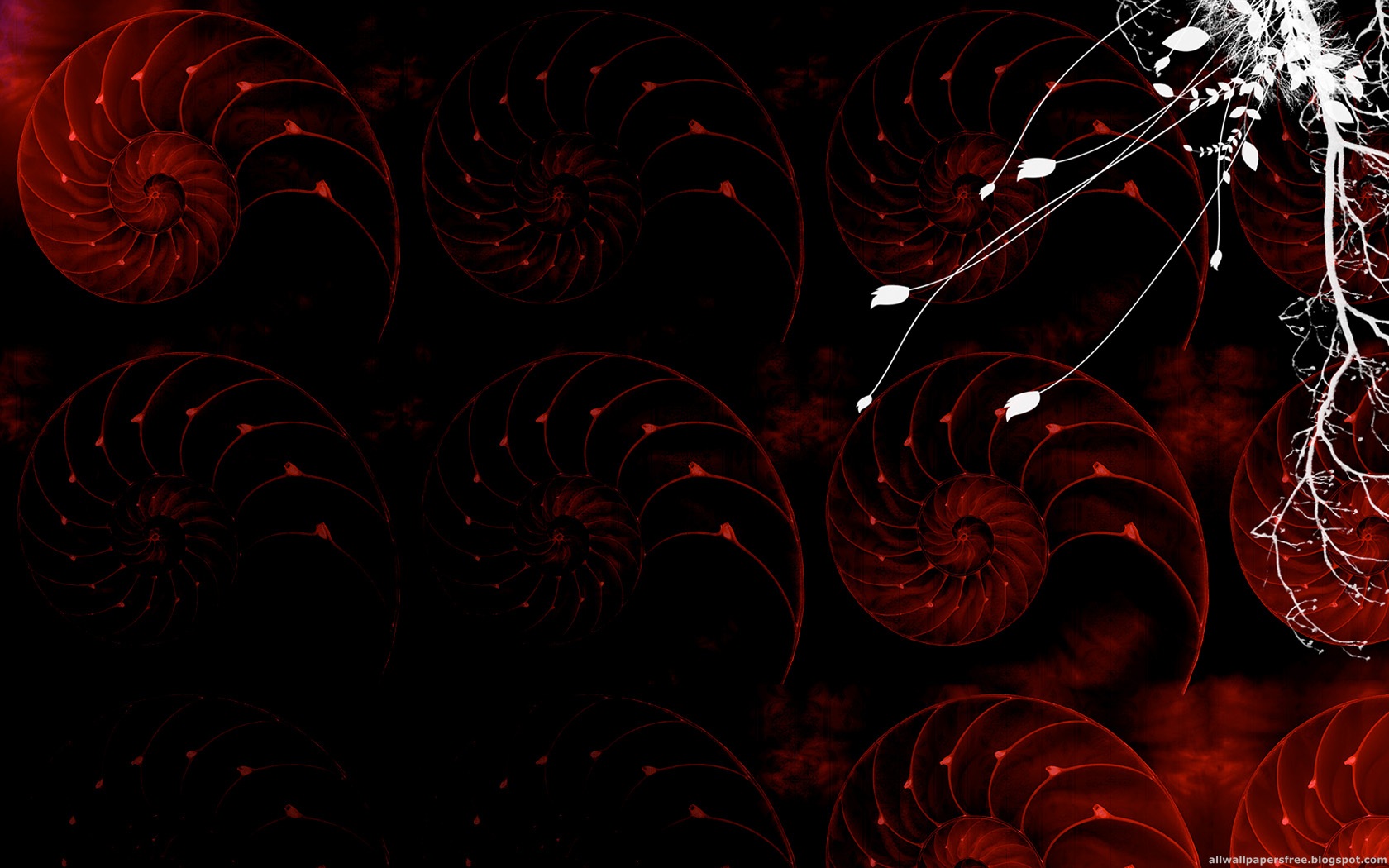 一次有缘的邂逅