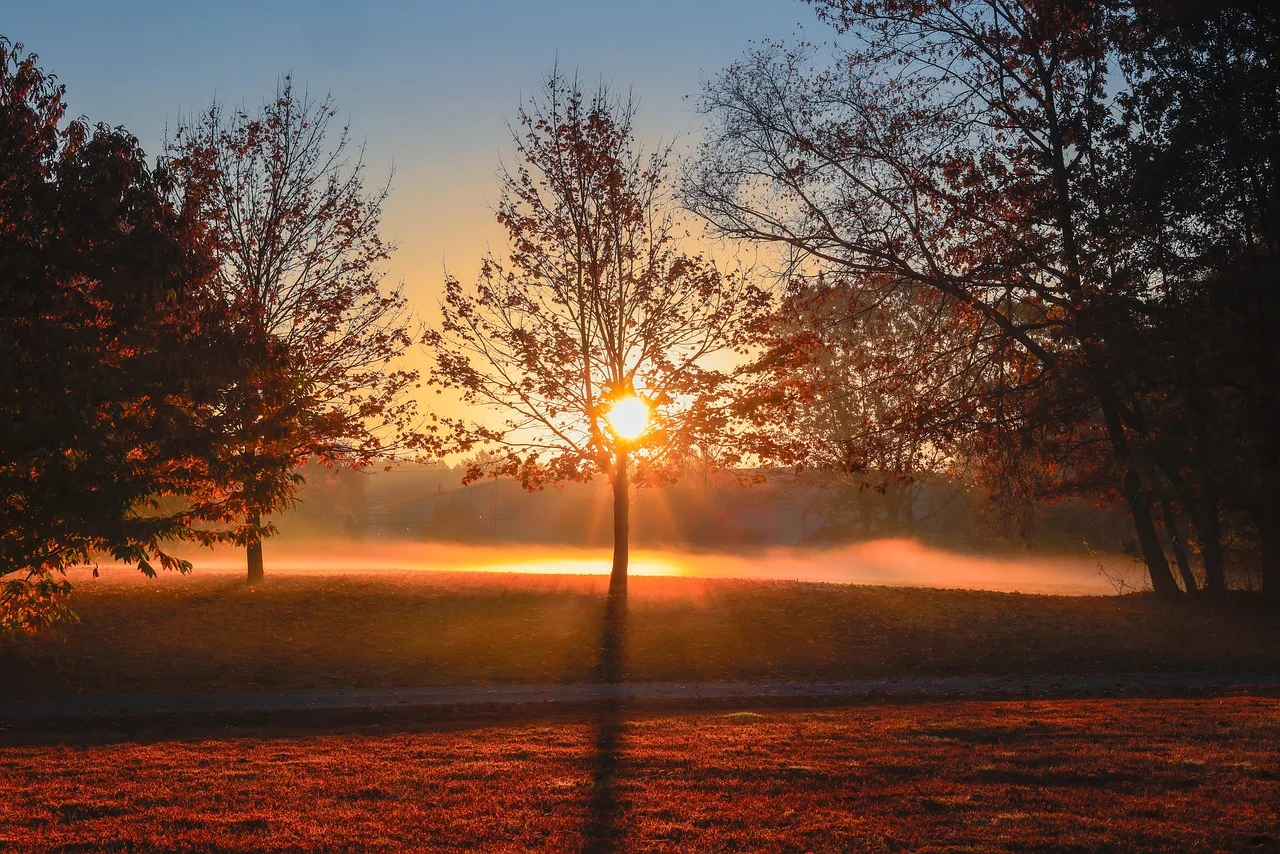 发帖回复显示多少小时，多少分钟，多少秒前